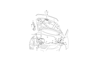 Bonnet