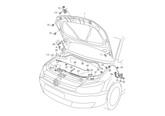 Bonnet