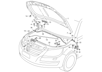 Bonnet front